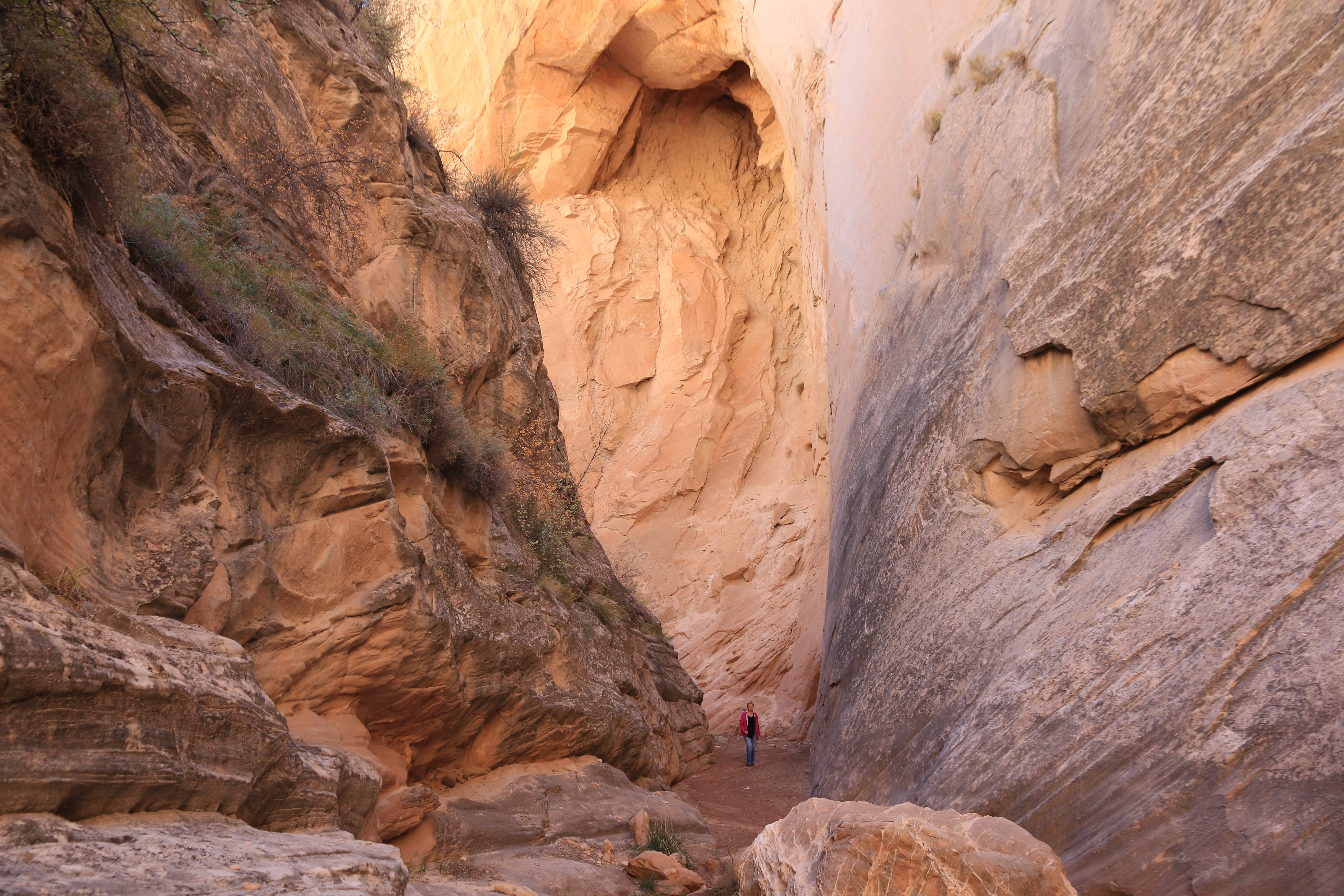 Escalante